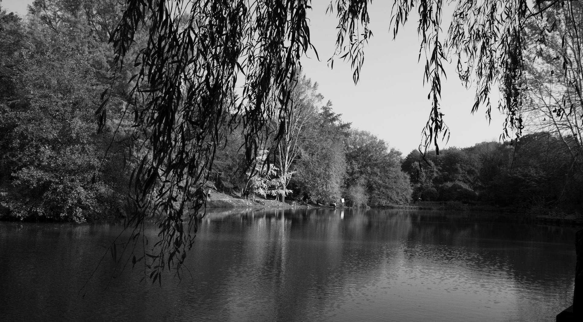 Ogentik agentic flow pipeline